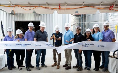 Ketjen Completes Expansion of its Bayport ZSM-5 Facility